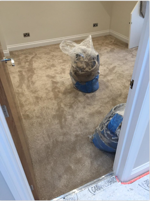 Carpet